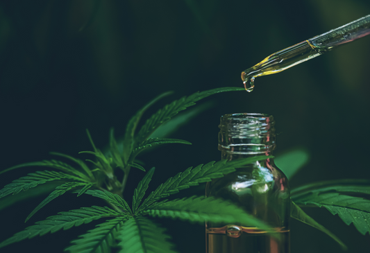 The Beginner's Guide to Microdosing CBD: The Benefits, Safety & Microdosing with JENG!